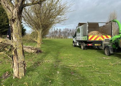 Commercial Tree Surgeons Market Rasen