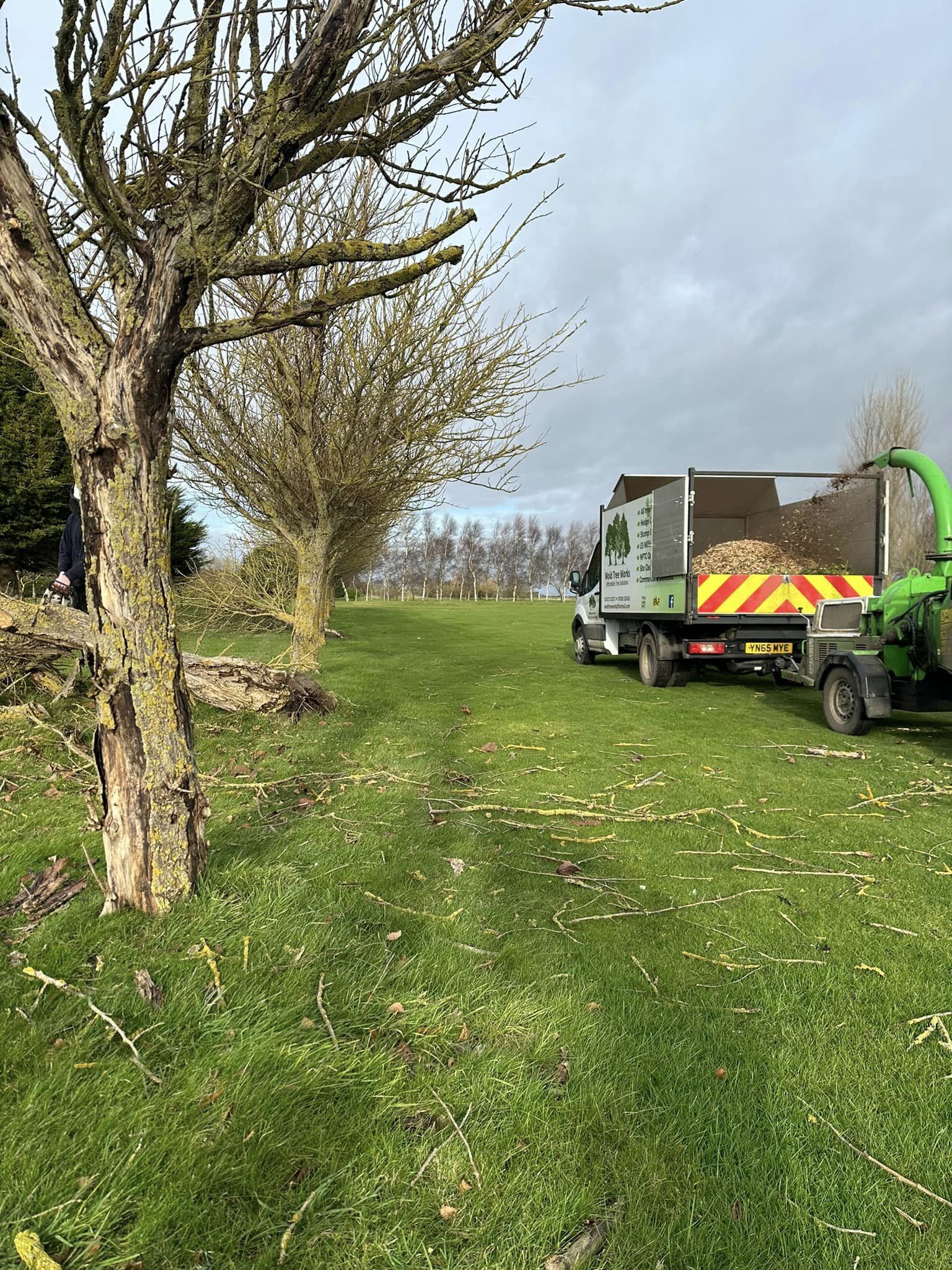 Commercial Tree Surgeons Market Rasen