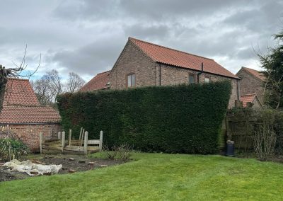 Hedge Trimming Louth