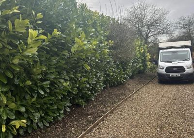 Hedge Trimming Louth