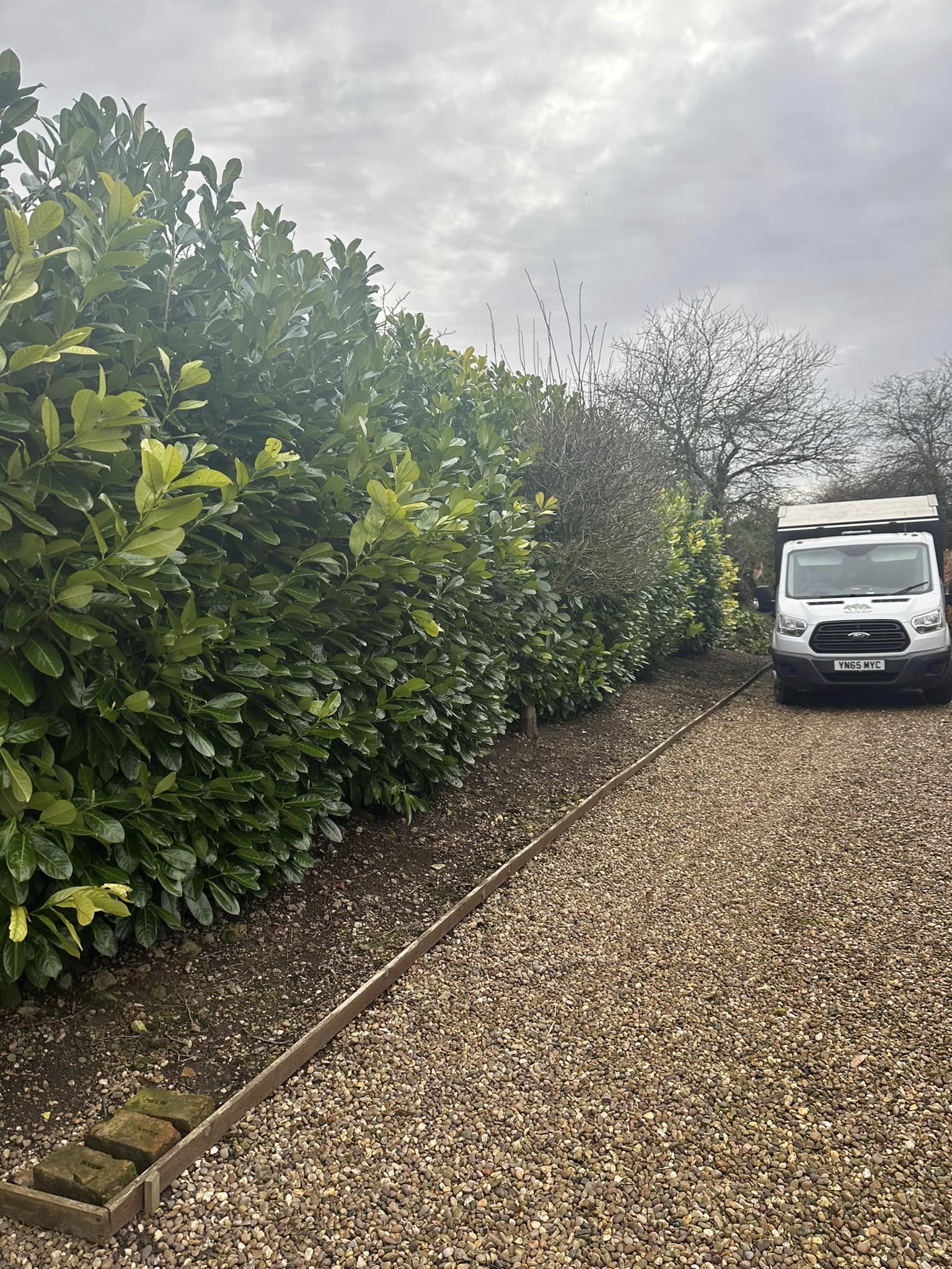 Hedge Trimming Louth