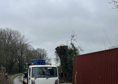 Commercial Tree Surgeons Louth