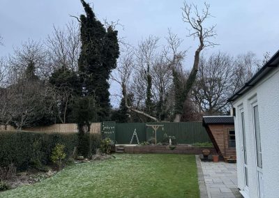 Tree Surgeons Louth