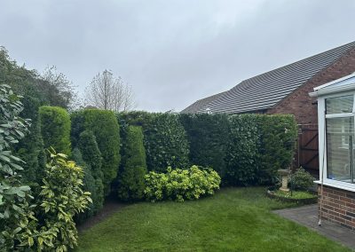 Hedge Trimming Market Rasen