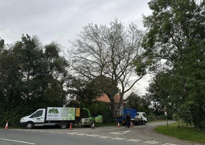 Commercial Tree Surgeons Market Rasen