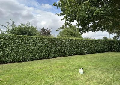 Hedge Trimming Market Rasen