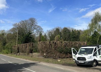 Commercial Tree Surgeons Louth