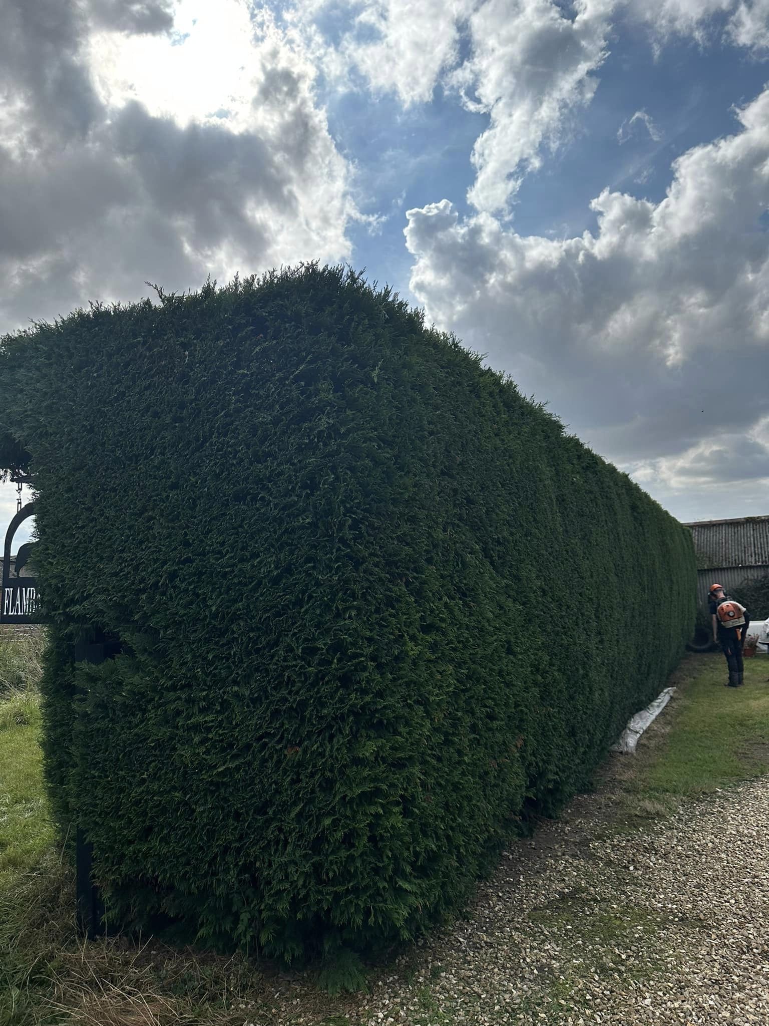 Hedge Trimming Market Rasen