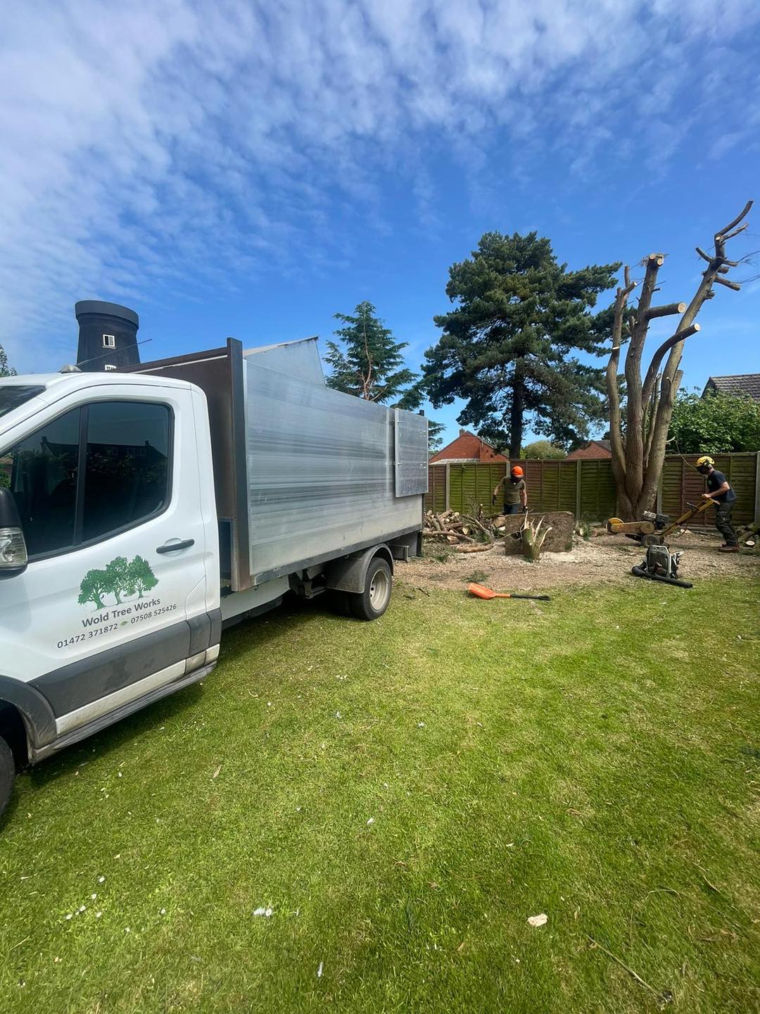 Tree Surgeons Louth