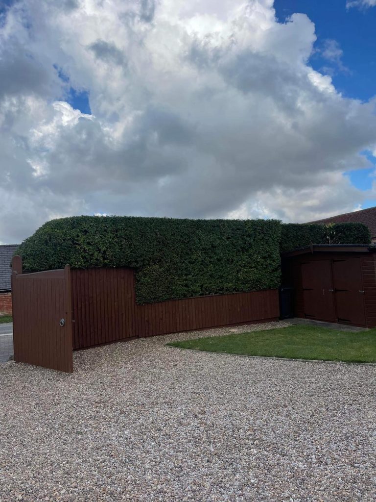 Hedge Trimming Louth