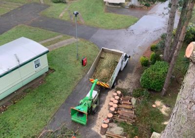 Commercial Tree Surgeons Market Rasen