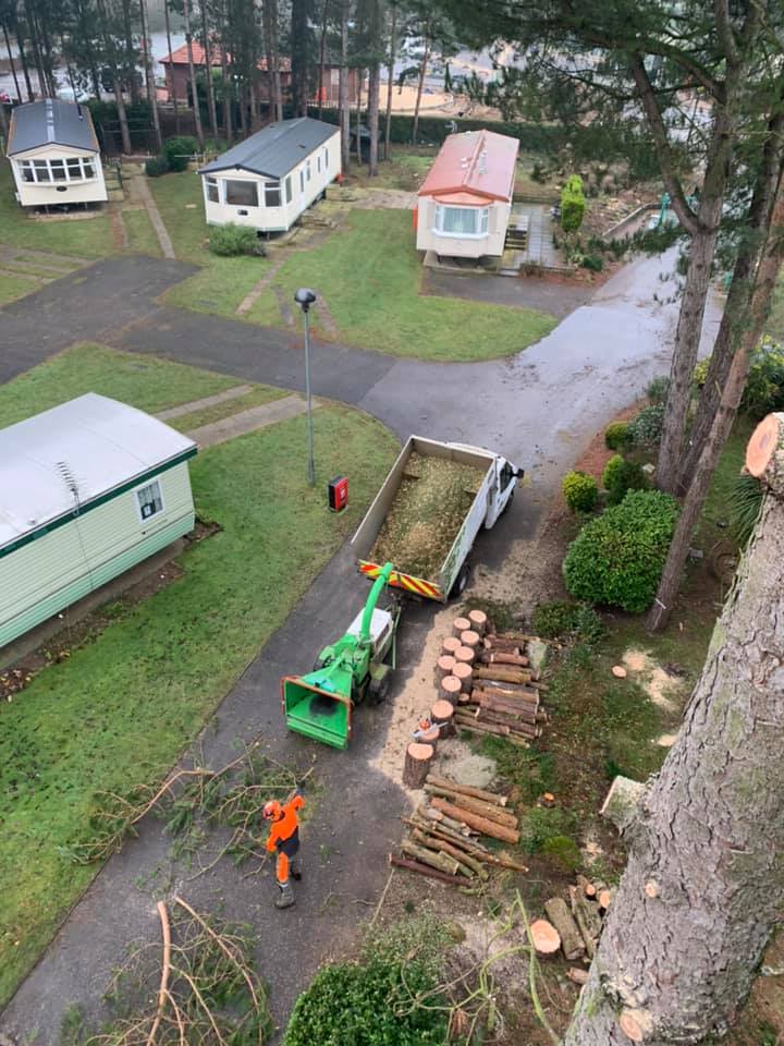 Commercial Tree Surgeons Market Rasen