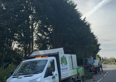 Commercial Tree Surgeons Louth