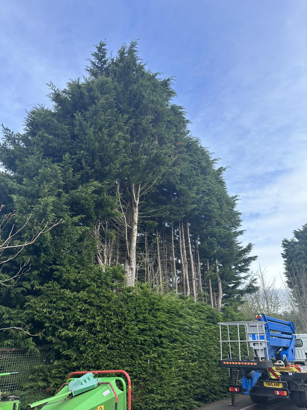 Tree Surgeons Market Rasen