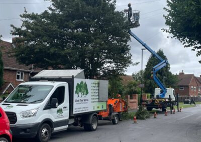 Commercial Tree Surgeons Market Rasen