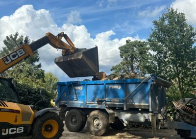 Commercial Tree Surgeons Market Rasen
