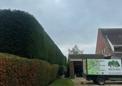 Hedge Trimming Market Rasen