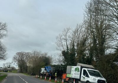 Tree Surgeons Louth