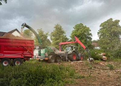 Commercial Tree Surgeons Louth